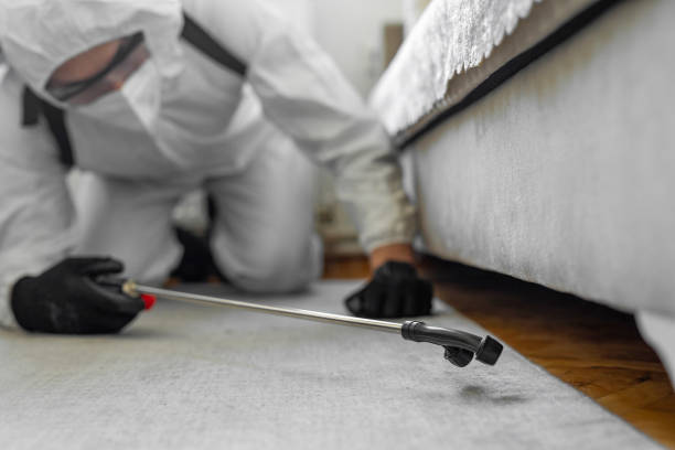 Professional Bed Bug Control technician working in Magnolia, MS
